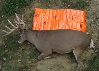 4 monster-buck-on-game-glide-deer-sled