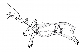Game Glide Deer Sled Instruction Image 4