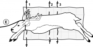 Game Glide Deer Sled Instruction Image 2